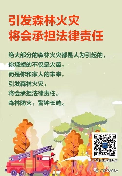 森林防火条例,森林防火守则：安全绿洲保障