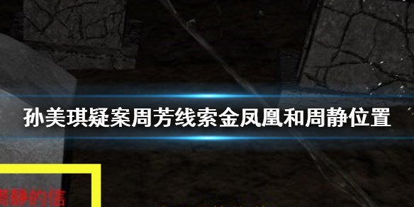 《孙美琪疑案金凤凰》实验品线索位置揭秘：如何打破谜团？