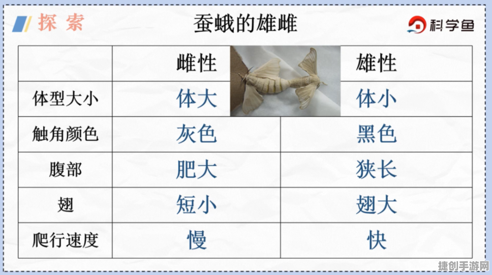 《茧中蚕》第二章通关攻略：轻松解锁隐藏要素