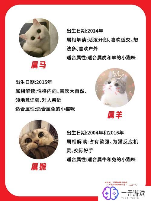 猫最忌讳的三个属相,“猫最忌讳的3个属相揭秘”