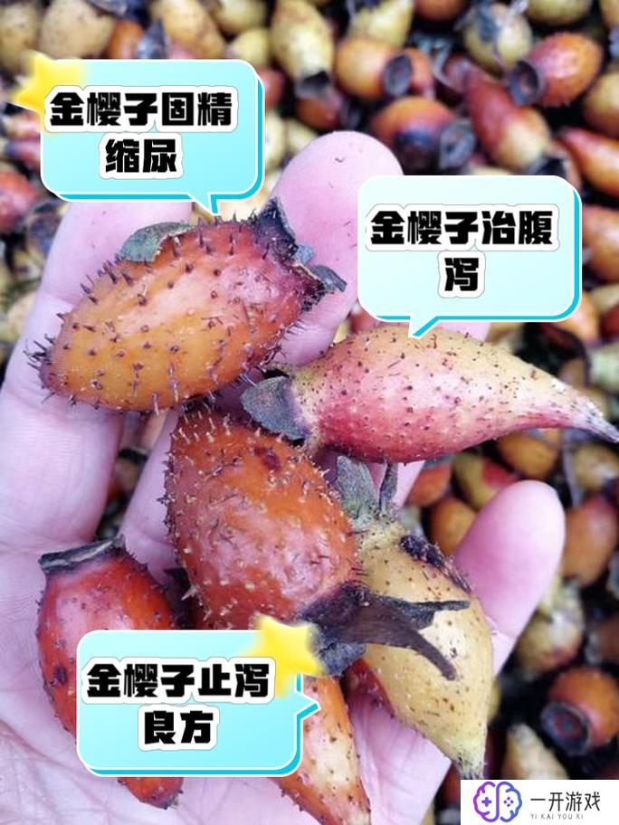 芡实金樱子一起泡开水喝的作用,芡实金樱子泡水喝的功效与作用