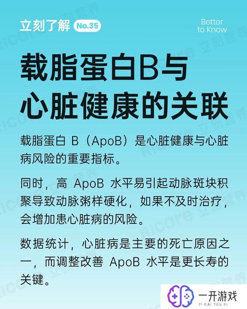 载脂蛋白b偏高要紧吗,载脂蛋白B偏高危害及注意事项