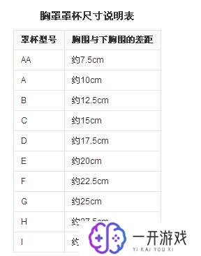 d罩杯大概是多大,“D罩杯尺寸标准一览”