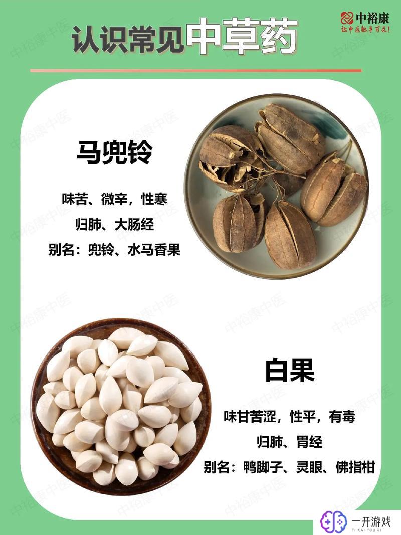 吃白果的十大禁忌,白果食用禁忌盘点：十大注意事项