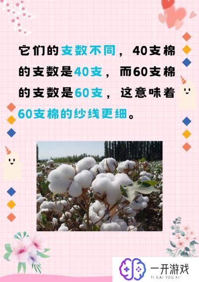 纯棉60支80支100支有什么区别,纯棉60支、80支、100支区别大揭秘