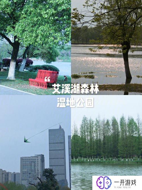 艾溪湖森林湿地公园,艾溪湖湿地公园攻略指南