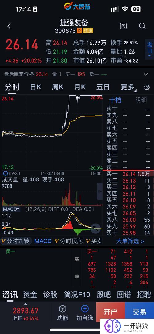 300875股票行情,300875股票实时行情解析