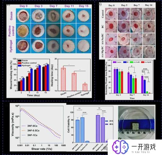 ijbm杂志是水刊吗,IJBM杂志：水刊真相揭秘！