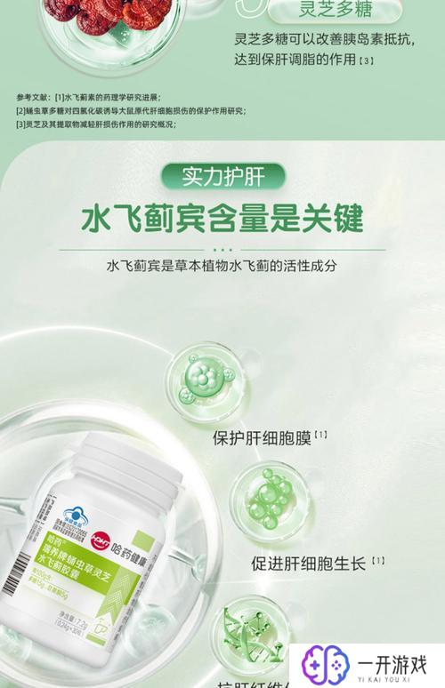 奶蓟草护肝片一天吃几粒,奶蓟草护肝片用量指南