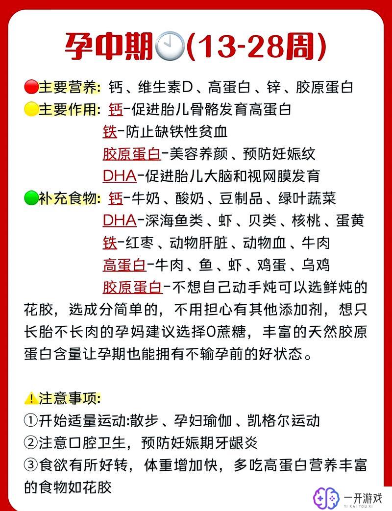 孕妇注意事项前三月饮食,孕妇前三月饮食攻略