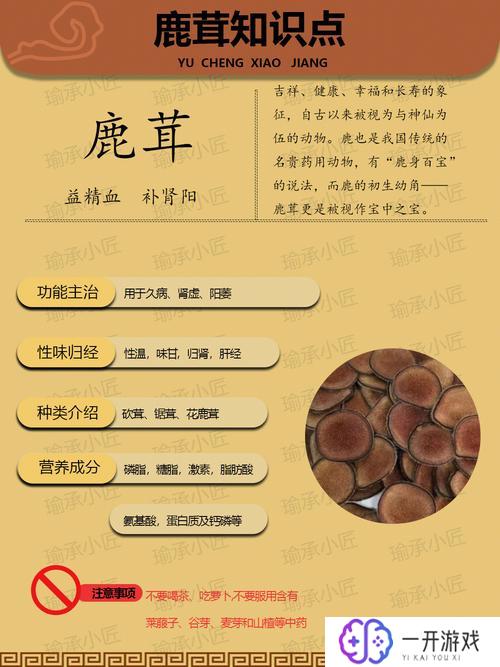 吃鹿茸后要忌什么食物,吃鹿茸忌食清单全揭秘