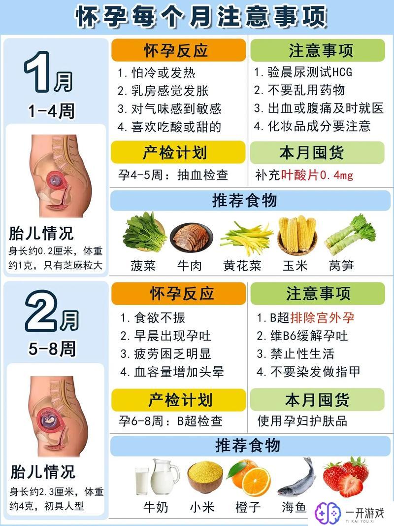 怀孕注意事项和饮食,孕期饮食与注意事项全攻略