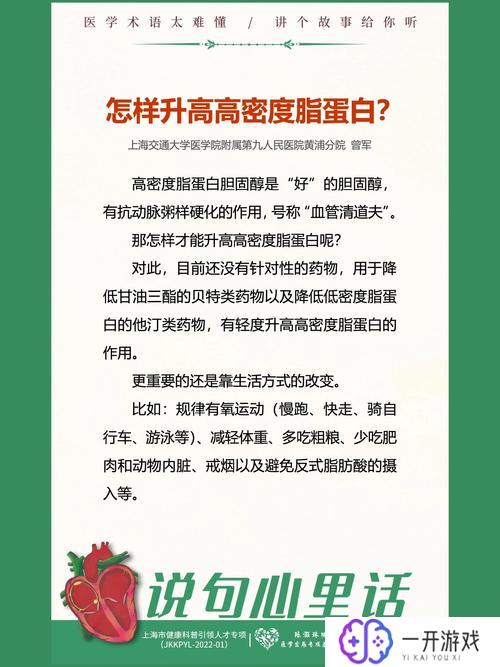 高密度脂蛋白升高,“高密度脂蛋白升高 健康益处解析”