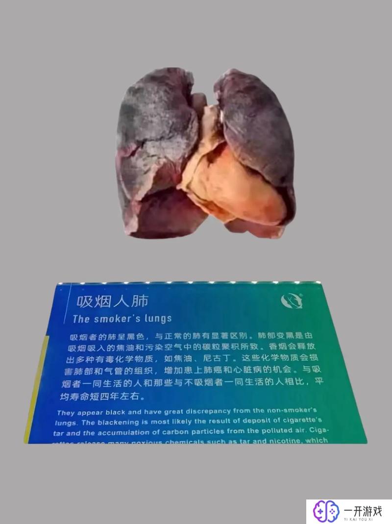 偶尔吸烟对身体有危害吗,偶尔吸烟危害大吗？健康警示揭秘