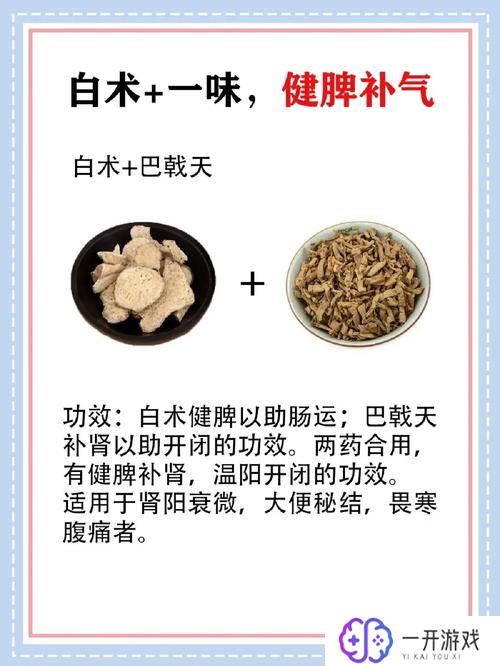 白术配伍禁忌,白术配伍禁忌详解