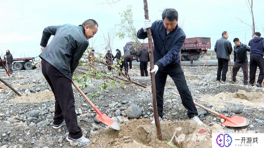 门口种树有什么讲究和忌讳,门口种树讲究忌讳大全