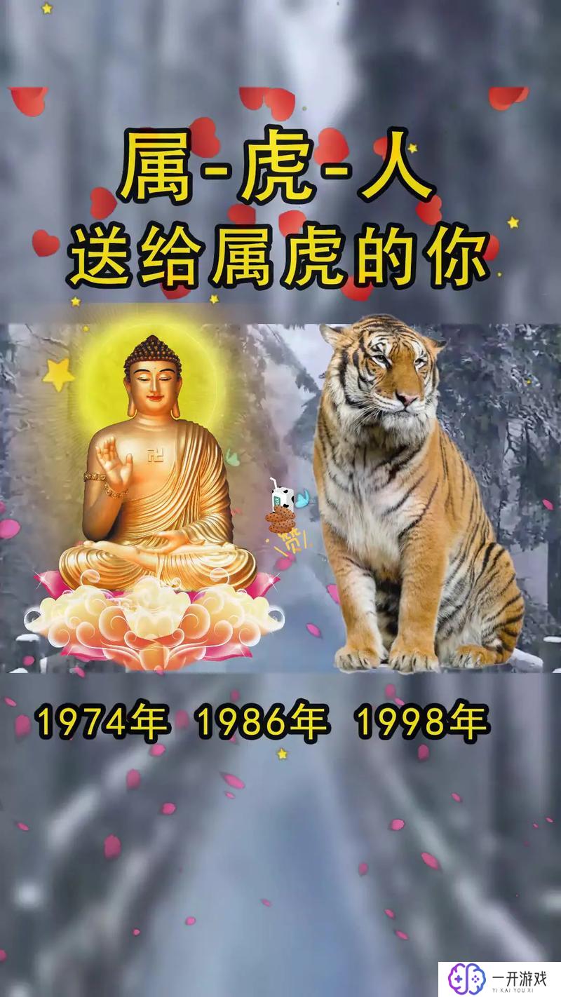 74属虎大忌颜色,74属虎大忌颜色揭秘！