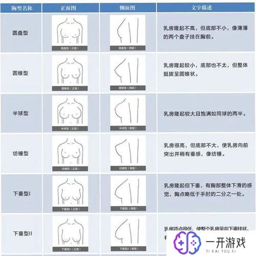 80是多大的罩杯,80罩杯尺寸多大？揭秘标准