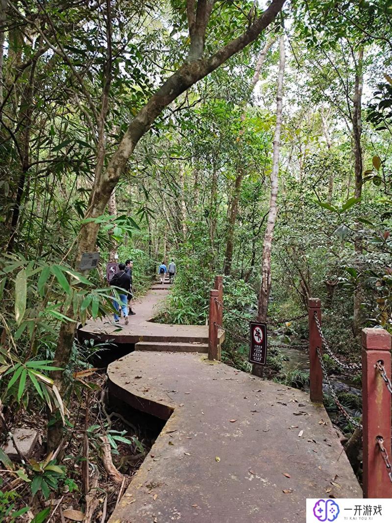 海南国家公园,海南国家公园：生态旅游新地标