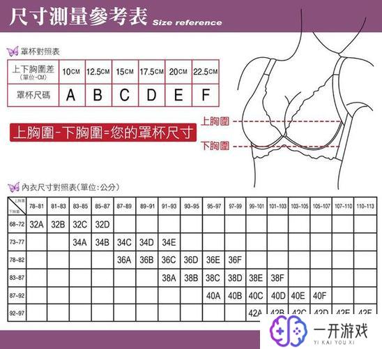 74b是什么罩杯多大,74B罩杯尺寸及换算对照表