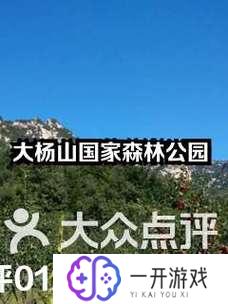 大杨山国家森林公园游玩攻略,大杨山国家森林公园游玩攻略全解析