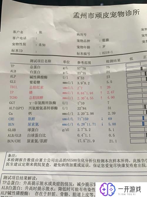 肝功总蛋白偏高,肝功总蛋白偏高原因及调理方法