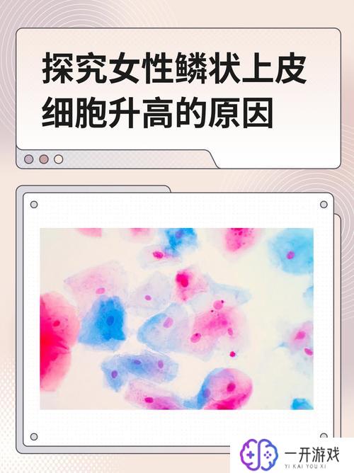 非鳞状细胞高是怎么回事,非鳞状细胞高原因解析