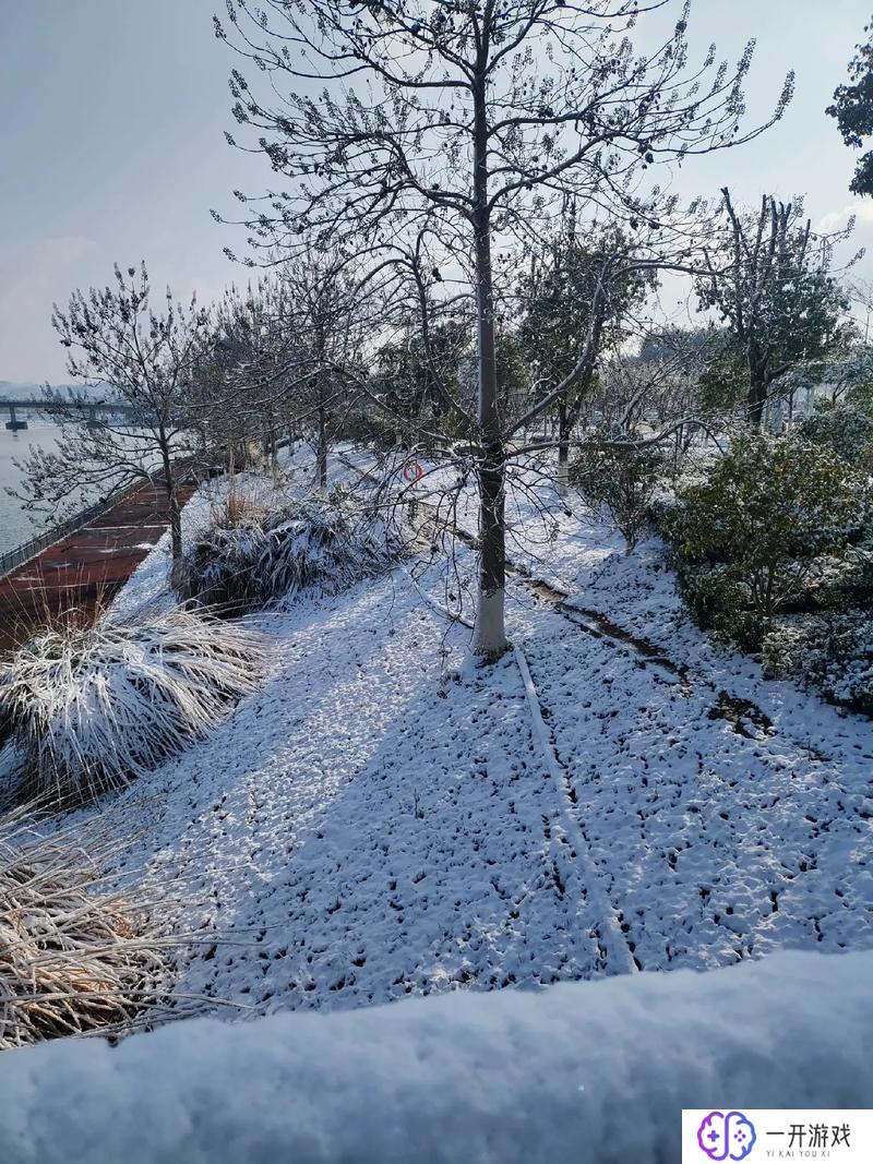 一片片雪花从天空中飘落下来,冬日雪花飘落美景赏鉴攻略