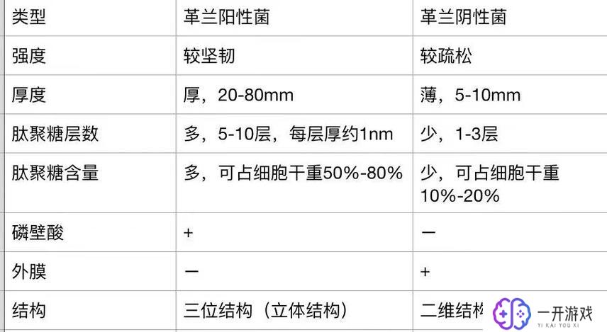 细菌分类界门纲目,细菌分类界门纲目攻略