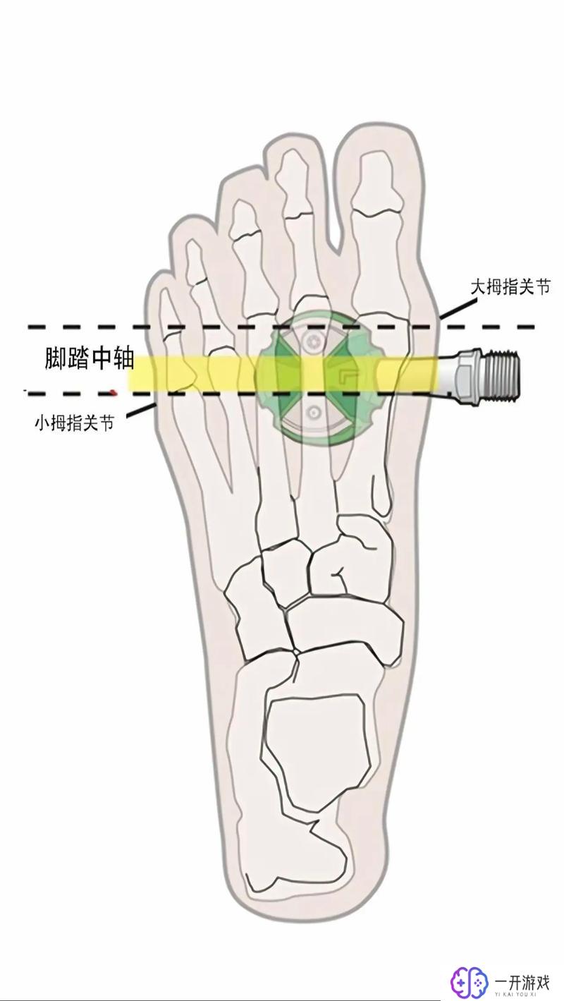 怎样骑自行车,“自行车骑行技巧详解”