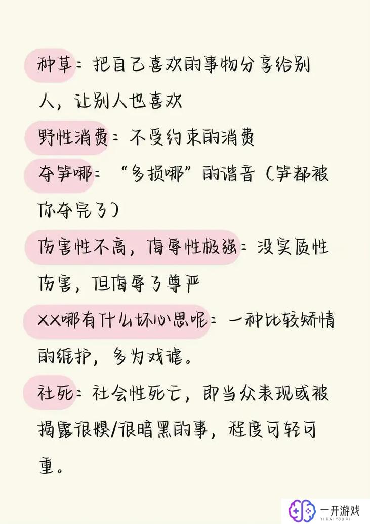 盘是什么意思网络用语,“盘的含义及网络用语解析”