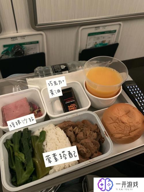 一次美味的飞行,“美食之旅：一次难忘的空中盛宴”