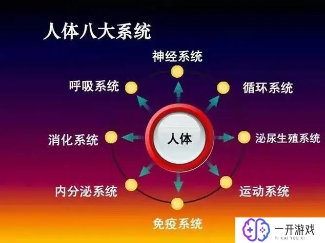 八大系统有哪些,八大系统盘点：全面了解系统分类