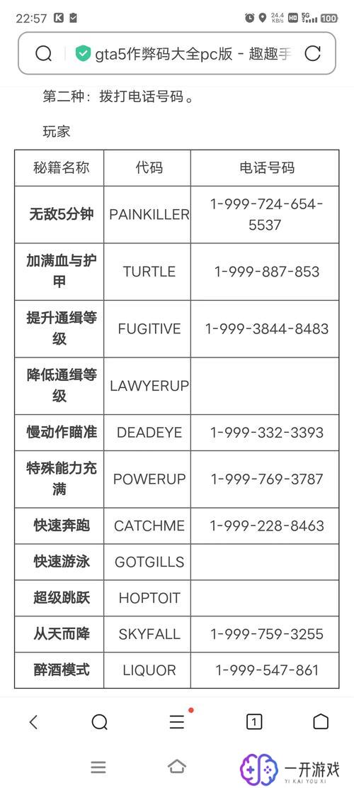 侠盗飞车作弊码,侠盗飞车最新作弊码全解析