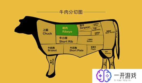 牛眼肉是哪个部位,牛眼肉是哪里部位？详细解析！