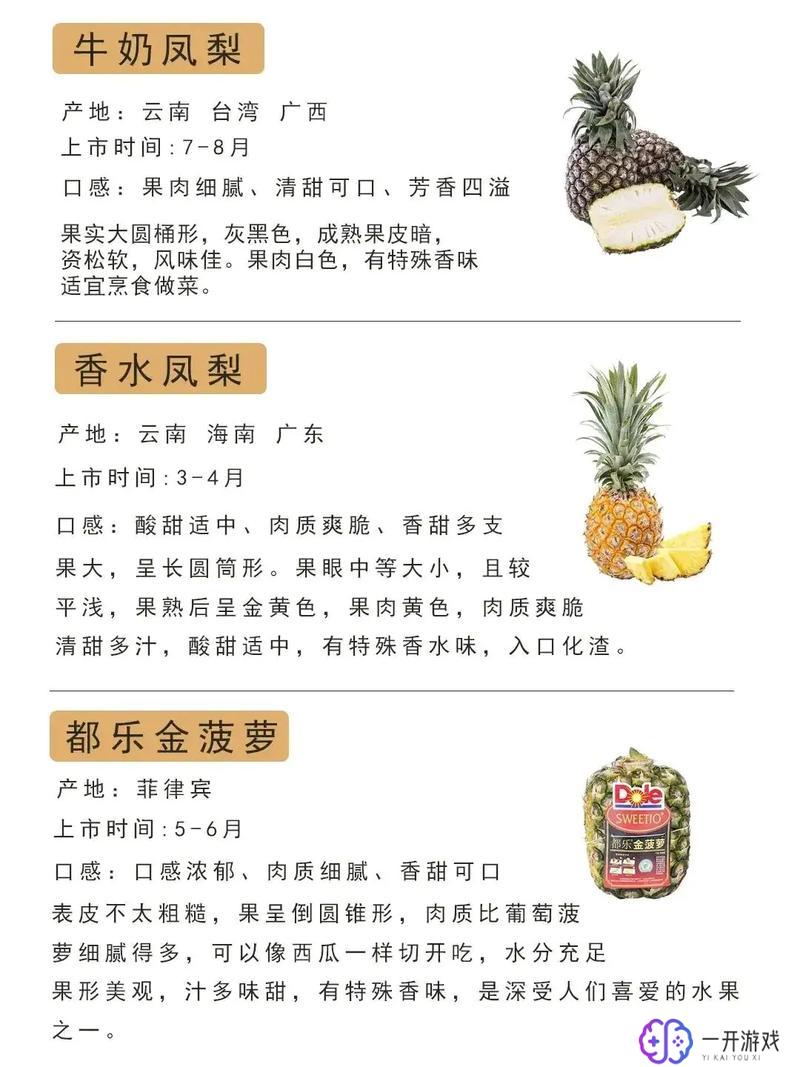 菠萝是凤梨吗,菠萝与凤梨的区别揭秘