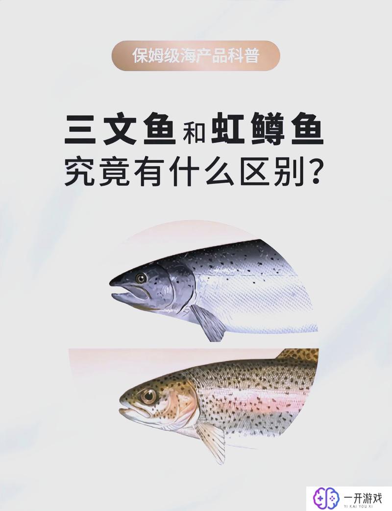 三文鱼是什么鱼,三文鱼种类揭秘：你了解多少？