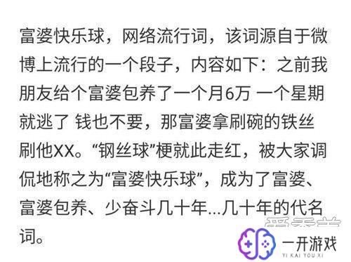 钢丝球富婆的梗,钢丝球富婆爆笑揭秘！