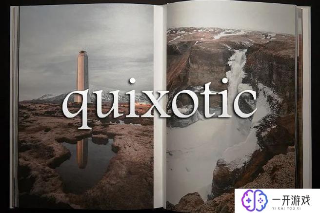 quixotic,追求梦想的quixotic精神解析