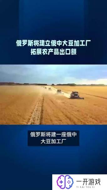 去俄罗斯种地挣钱吗,俄罗斯农业投资：种地赚钱新机遇