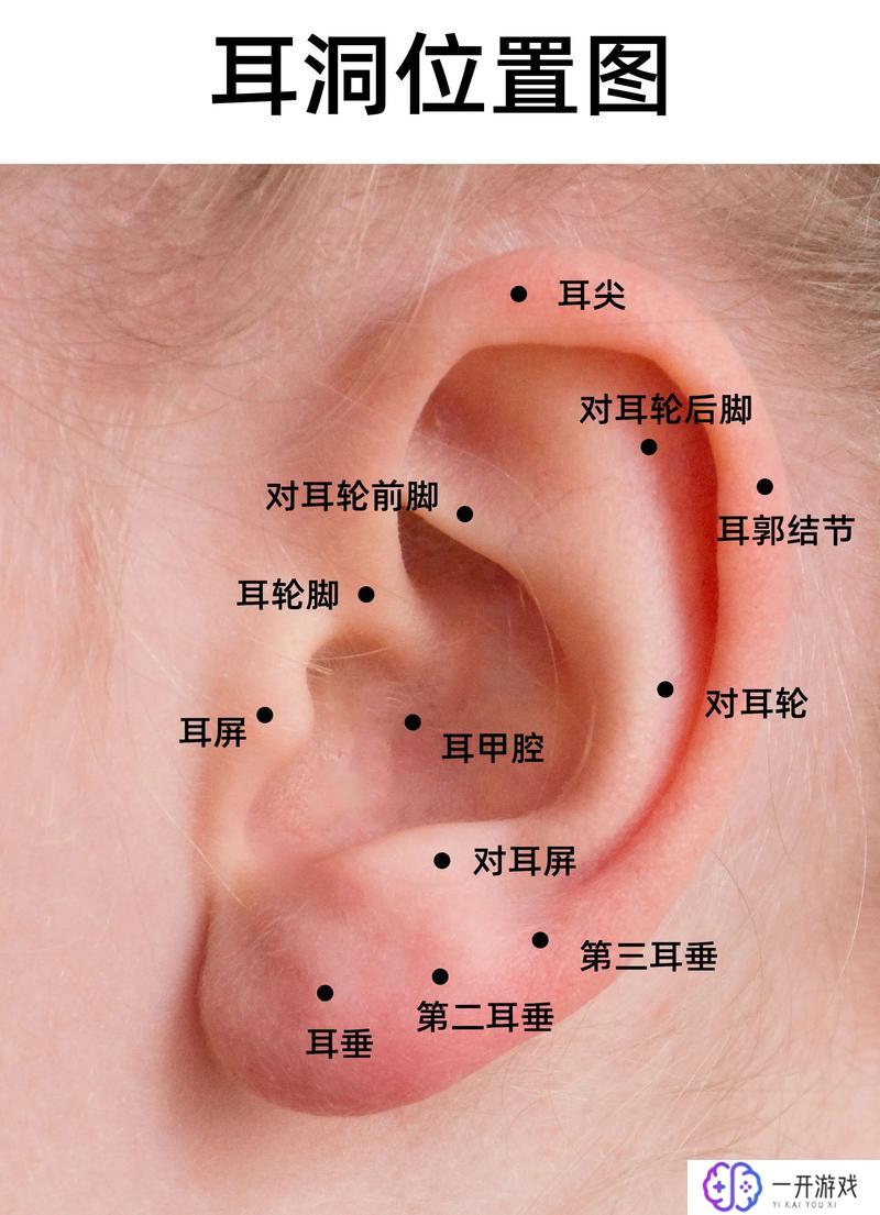 3寸钉子是多少厘米,3寸钉子长度换算：厘米是多少？