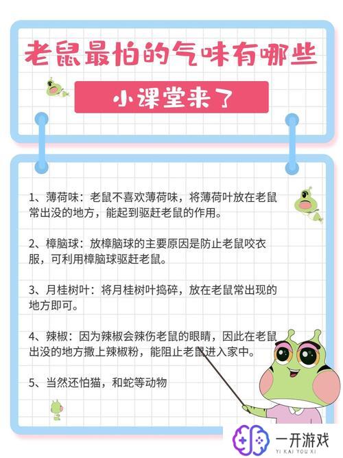 老鼠不怕人是什么预兆,老鼠不怕人吉凶解析：预兆揭秘！