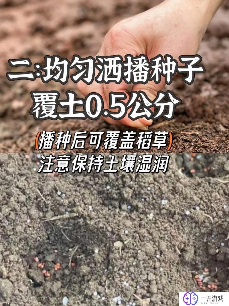 萝卜是什么季节的,萝卜秋季种植技巧分享