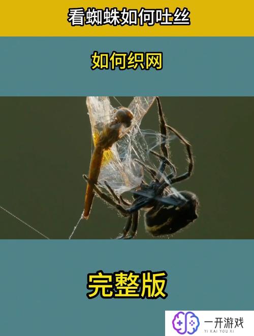 双人成行蜘蛛怎么吐丝,双人成行蜘蛛吐丝技巧解析