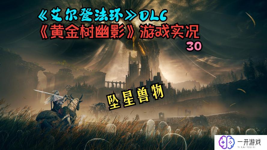 艾尔登法环dlc评分,艾尔登法环DLC评分揭秘：热门解读！