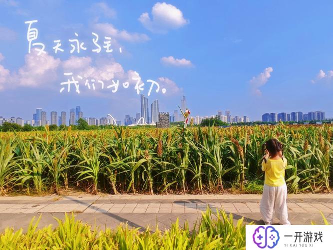 高梁是什么季节,“高粱种植季节详解”