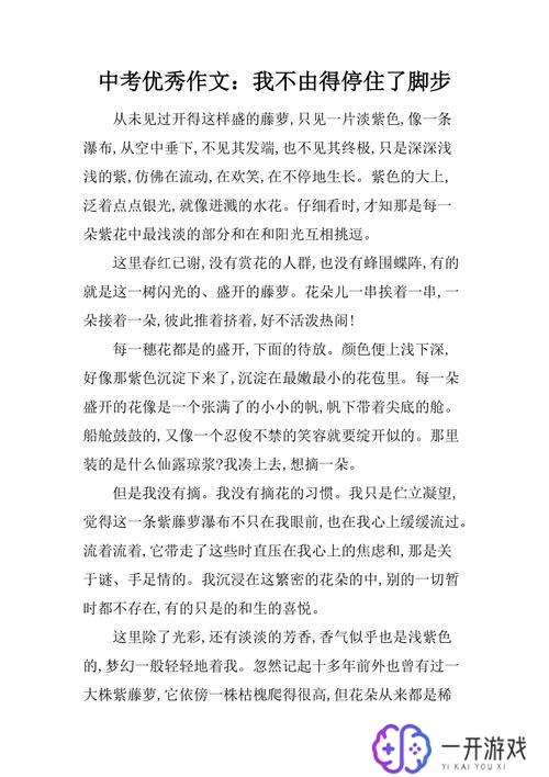 我不由得停下了脚步作文,不由得停下脚步：作文感悟分享