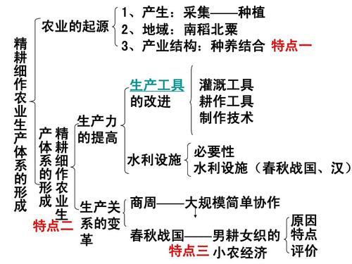 开垦母亲肥沃的土地教案：1.-细耕母亲土地-播撒希望的种子