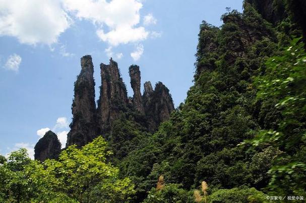 把她送上一个又一个巅峰苏雨桐 穿越巅峰之旅：苏雨桐的无限可能