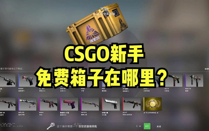 csgo一个箱子多少钱,CSGO神秘箱子价格揭秘